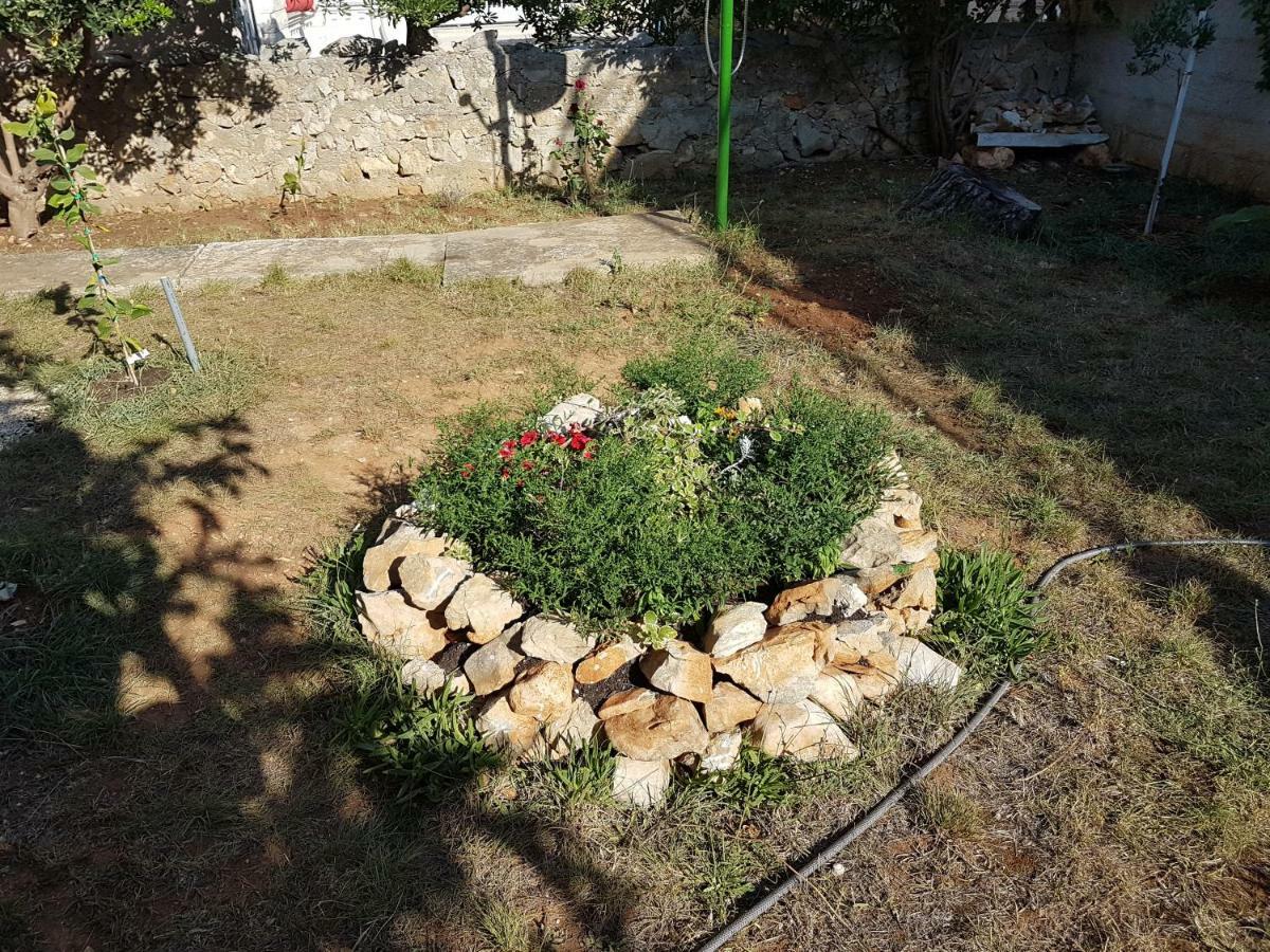 Apartment Mimosa Vir Εξωτερικό φωτογραφία