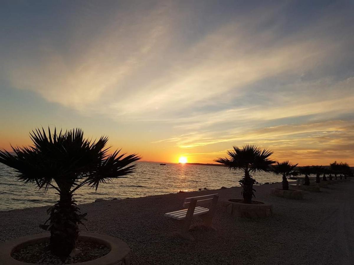 Apartment Mimosa Vir Εξωτερικό φωτογραφία